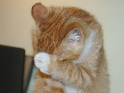 1475564053745038.png 猫咪洗脸.png