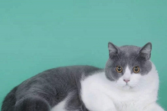 1493018089674701.gif bhjicvgu.gif