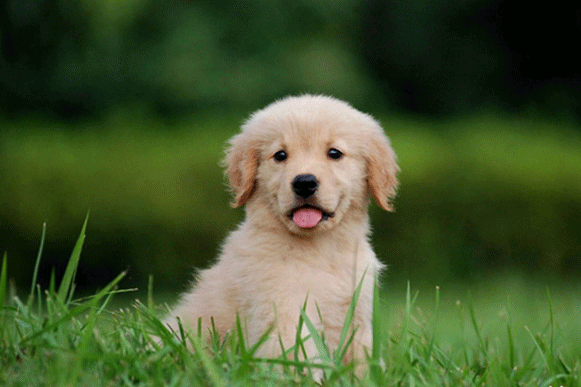 1514014728507057.gif cvxbhbbbbbbbbbbbbbb.gif