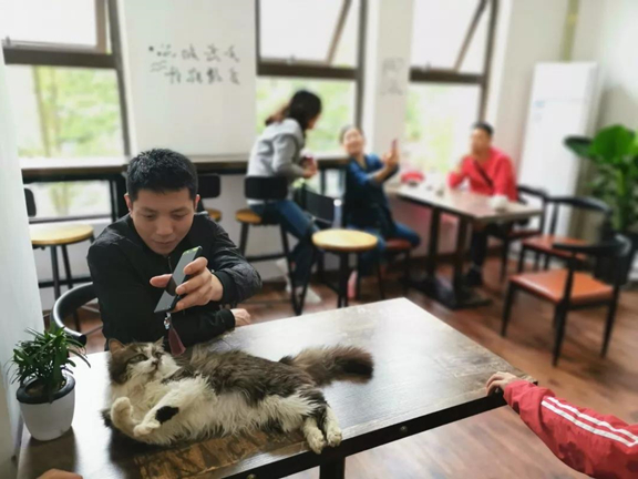 1557909536893681.jpg 微信图片_20190515163634.jpg