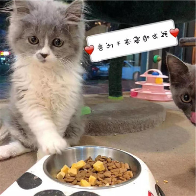 1568084326752902.jpg 微信图片_20190909184516_副本.jpg