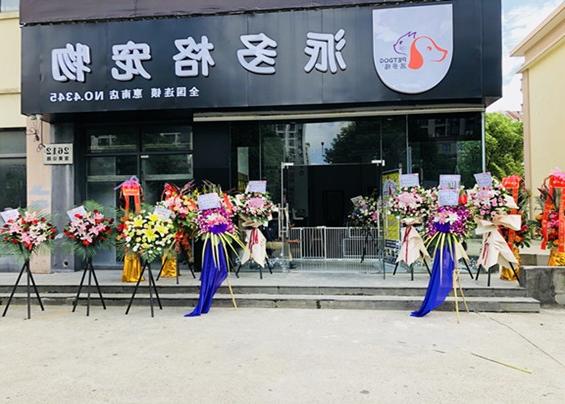 武汉加盟宠物吗美容店怎么样 武汉加盟宠物吗美容店怎么样