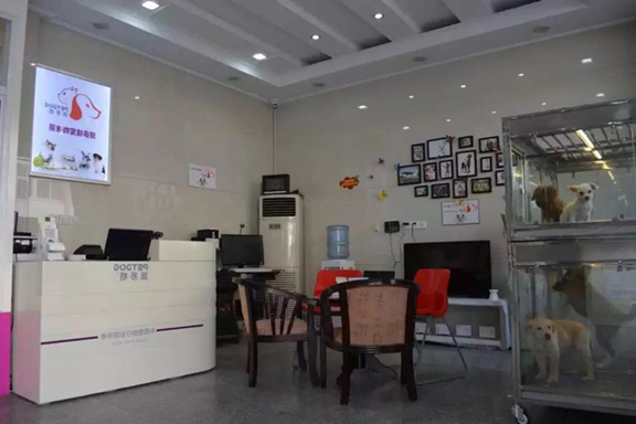 想在成都开宠物店,成都开宠物店压力大吗? 想在成都开宠物店,成都开宠物店压力大吗?