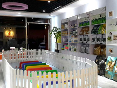 新手开宠物店会遇到的问题有哪些? 新手开宠物店会遇到的问题有哪些?